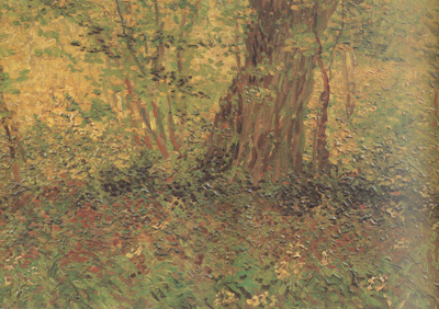 Vincent Van Gogh Undergrowth (nn04)